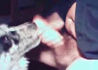 Tender doggy is satisfying a pervert