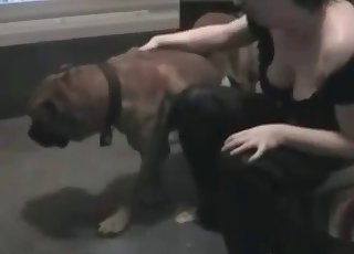 All sorts of rapid banging by a horny zoophiliac person