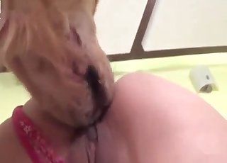 Pink high heels brunette fucks a dog