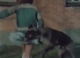 Can't stop enjoying bestiality fucking