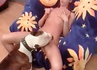 Dog is great at licking pussy on cam