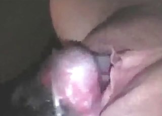 Doggy nails a sweet beauty