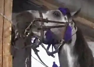 Zoophile gives this farm animal a good head