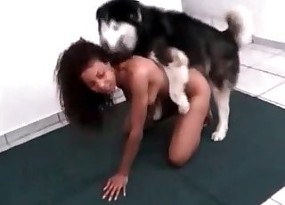 Naughty black chick fucks a husky