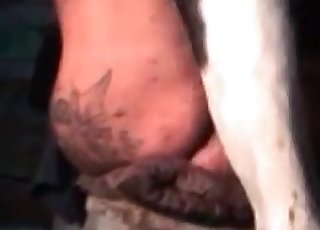 Big ass zoophile nicely banged by hardcore stallion