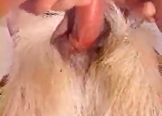 Intense bestiality action is going on and we love it