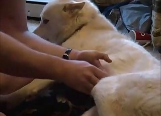 Kirli köpek, iğrenç bir zoofil ile yalnız bırakıldı