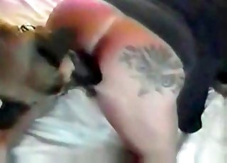 Fat bitch is enjoying nasty sex with animals