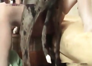 White stockings slut fucks her dog