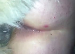 Great-looking hottie likes sweet and intensive bestiality