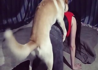 Playful babe and dog love each other