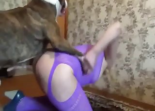 Cute angel in purple lingerie likes bestiality