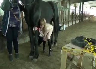 Pretty cute lady screwed by a big black stallion