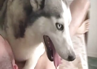 Screwing my lovely trained doggy on the camera