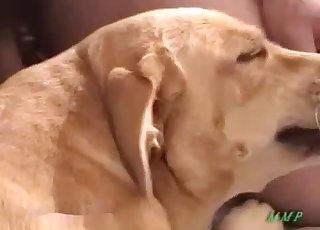 Hot hound looks so sweet and fuckable in this pose