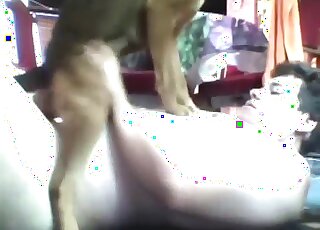 Imagine having THAT kind of kinky sex, huh