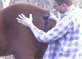 Zoo sex scene with a guy who fucks a kinky mare