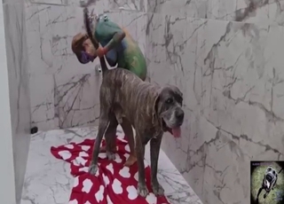 Good-looking lady gets fucked by a horny dog