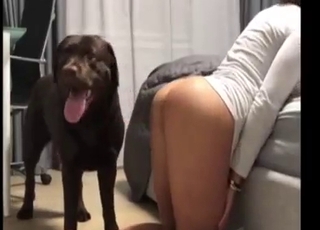 Dark-haired lady gets fucked by dog from behind