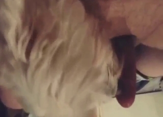 Dude's boner gets licked by a mutt in a hot vid