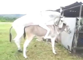 Sexy beasts show what they do while outdoors