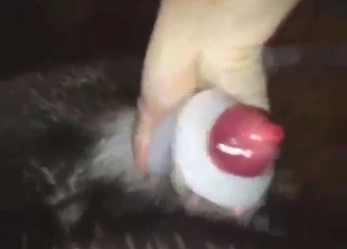 Truly wanton dog gets a nice handjob with orgasms