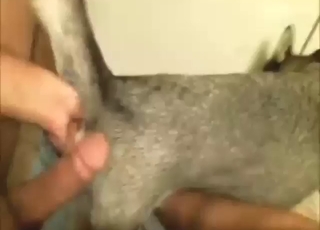 Tight hole bitch is going to get drilled so good