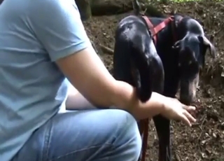 Anal-crazed dude is happy to finger his dog