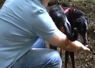 Anal-crazed dude is happy to finger his dog