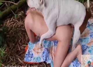 Zoo porn shows a white dog blasting her ass