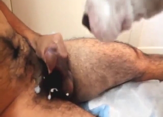 Dog with sexy spots licking all over his penis