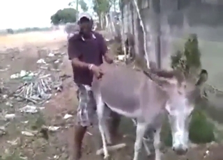 Good-looking Latino fucker fucks a Donkey hard