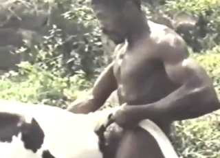 Zoo porn highlights, incl. two girls savoring cum