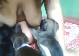 Puppies with pretty faces sucking on her tits