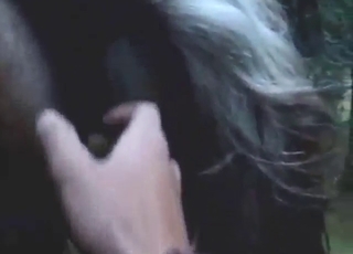 Mare's juicy vagina pleasured in POV by a guy