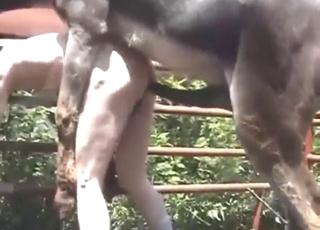 Creepy fuck scene with a DONKEY gaping ass