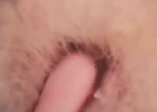 Hot tanuki XXX movie with close-ups that seem wild