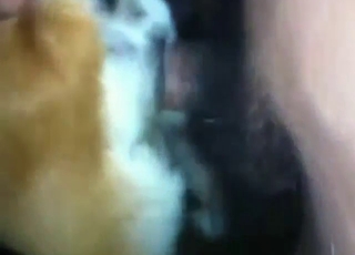 Forst fuck scene with a hairy cock and a dog