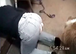 Amazing bestiality fun for a hot slut and a lovely doggie