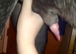 Handjob zoophile porn shows GREAT stroking