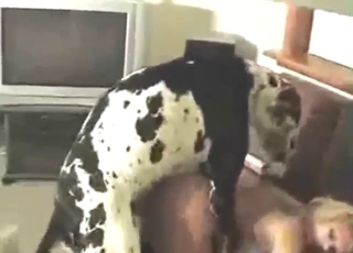 Thing blonde with big tits fucks DANE on all fours