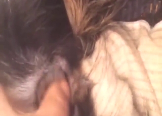 Dude gets really assertive with that animal too