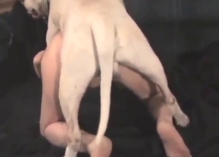 Mature and sexy-looking bitch takes DOG dick