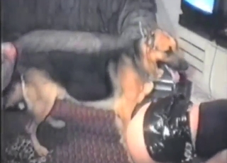 Good-looking lady in black outfit fucks a dog