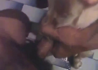 Aggressive zoophile fucking with a kinky dude