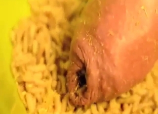 Even zoo sex can get pretty nauseating with maggots