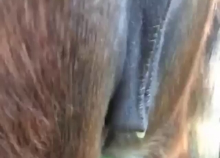 Ướt