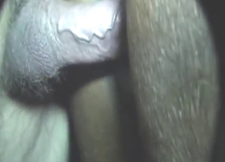 Totally perfect mare gets dicked from behind