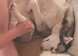 Beast wants to get fucked harder than ever