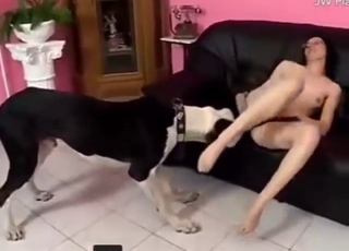 Glasses-wearing brunette gets fucked by dog